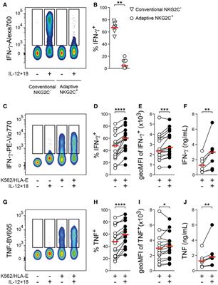 Adaptive Natural Killer Cells Integrate Interleukin-18 during Target-Cell Encounter